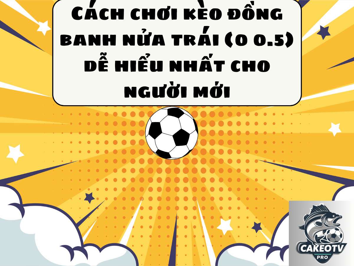 Cach-choi-keo-dong-banh-nua-trai-0-0.5-de-hieu-nhat-cho-nguoi-moi